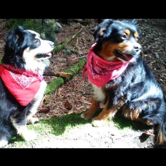 Meet your Posher, Martha Maria. - Picture 7 of 8